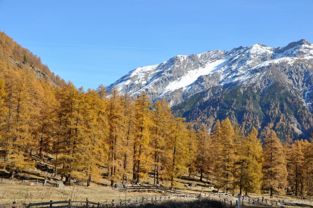 B&B St Moritz Exterior foto